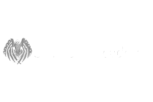 Stanford Academy 